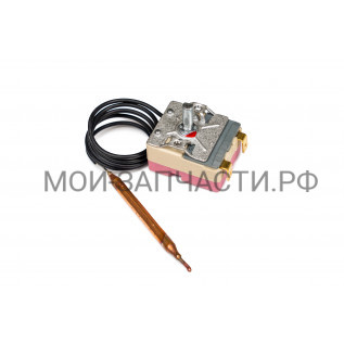 0040400541 Термостат водонагревателя Haier ES50V-F3